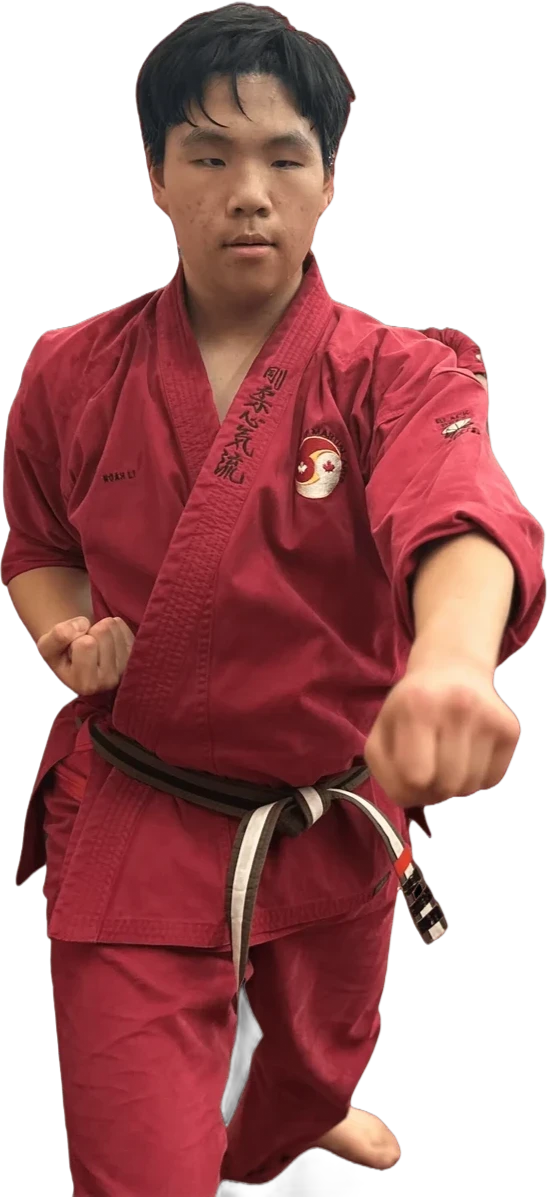 Adult Karate (13+) class
