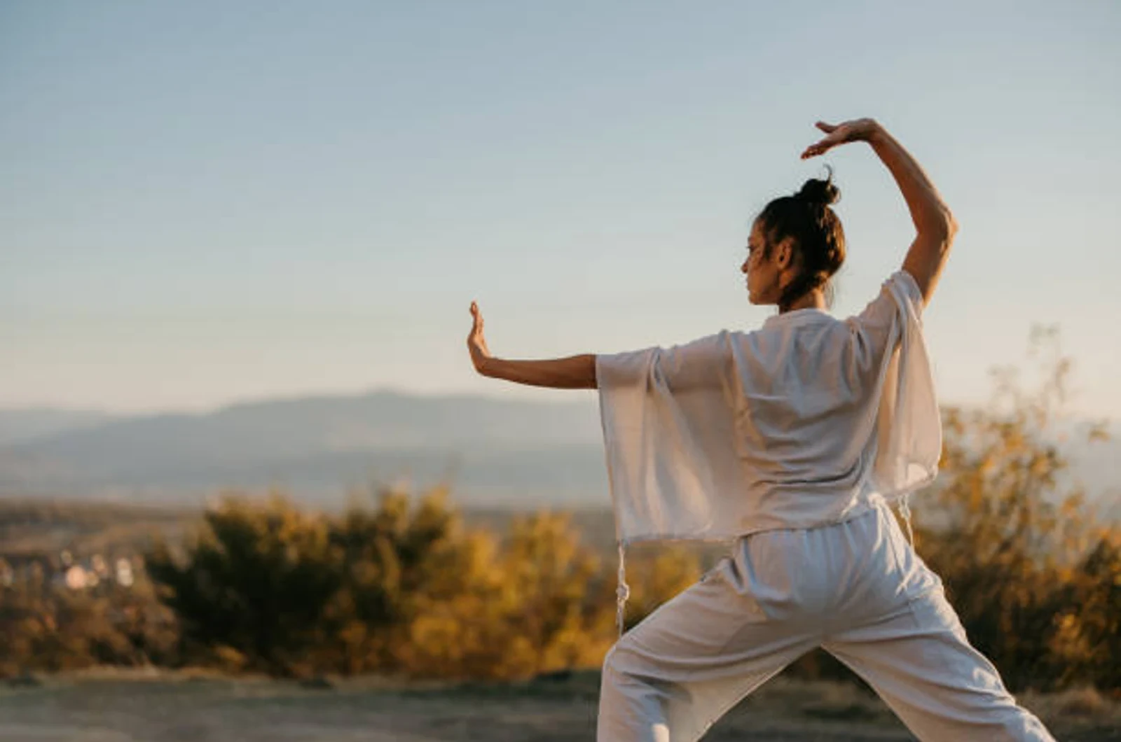 Expert tai chi coaching at Port Credit Academy of Martial Arts